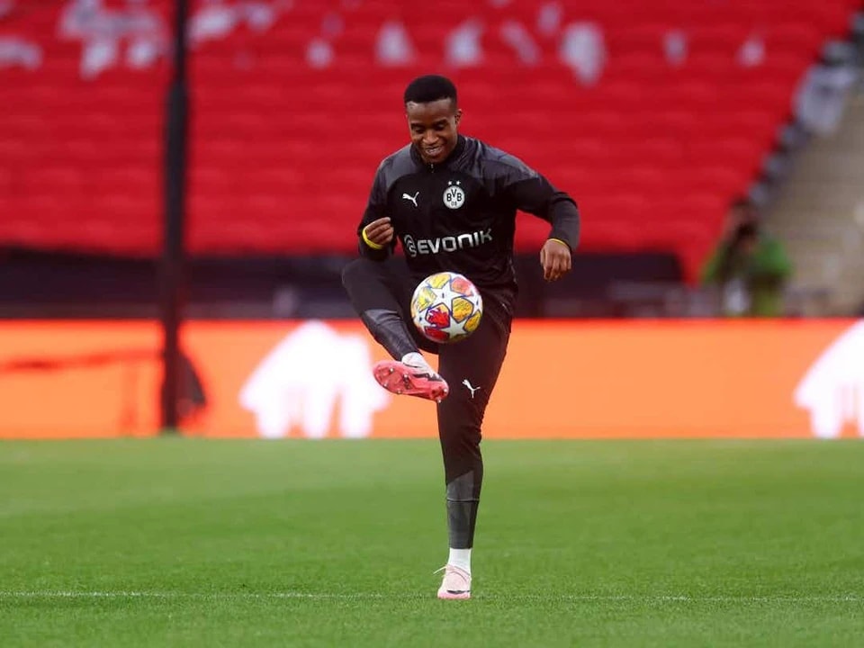 他在夏天永 他在夏天永